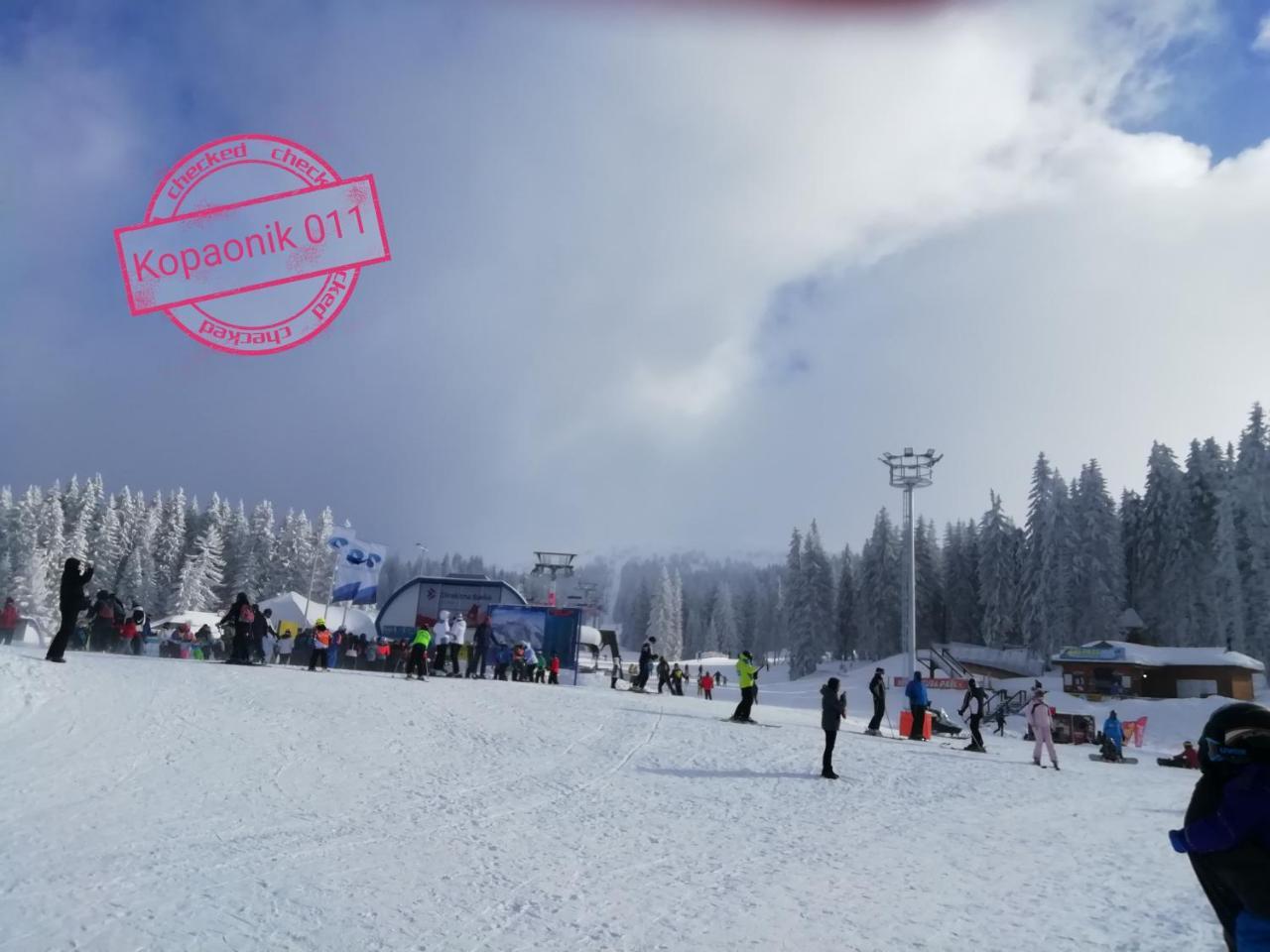Kopaonik011 Konaci&Woodside Apartments Экстерьер фото